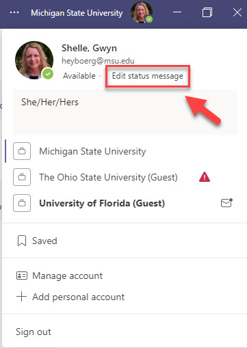 Adding Pronouns to Spartan365 Team Profile